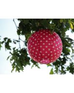 lampion 50 cm fuchsia pois blanc