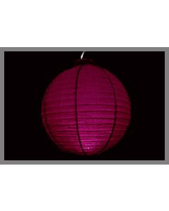 lampion fuchsia pas cher